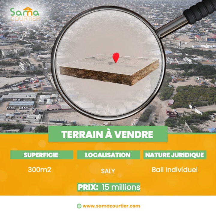 Terrain-Saly